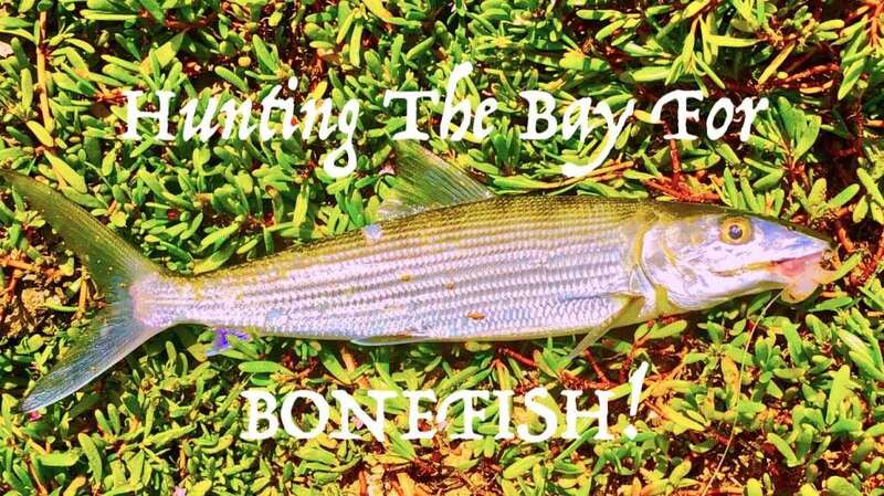 Attached picture Bay Bonefish.jpg